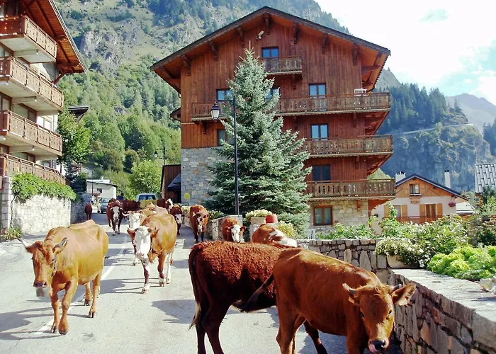 Apartament Les Du Bouquetin - Ecureuil *