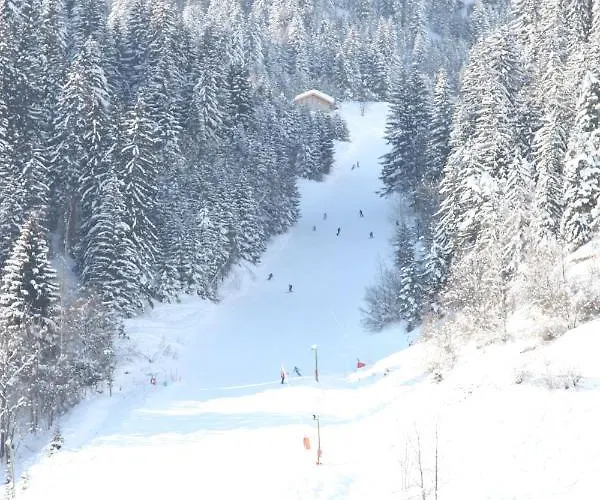 Les Du Bouquetin - Ecureuil Apartament *