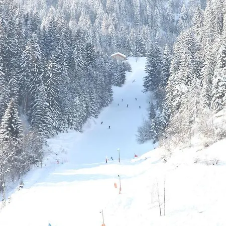 Les Du Bouquetin - Ecureuil Apartment *